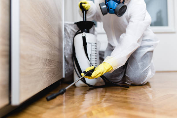 Best Emergency Pest Control  in Mount Ida, AR