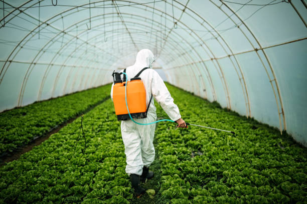 Best Best Pest Control Companies  in Mount Ida, AR