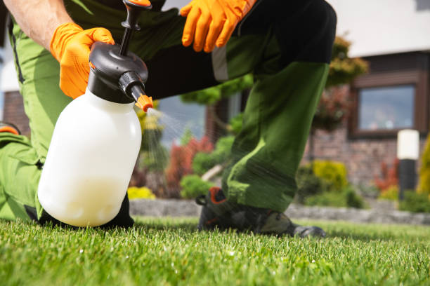 Best Residential Pest Control  in Mount Ida, AR