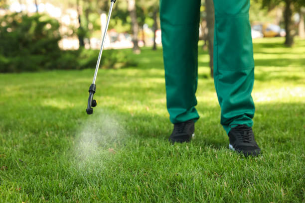 Best Rat Extermination Near Me  in Mount Ida, AR