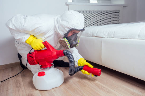 Best Pest Inspection Near Me  in Mount Ida, AR