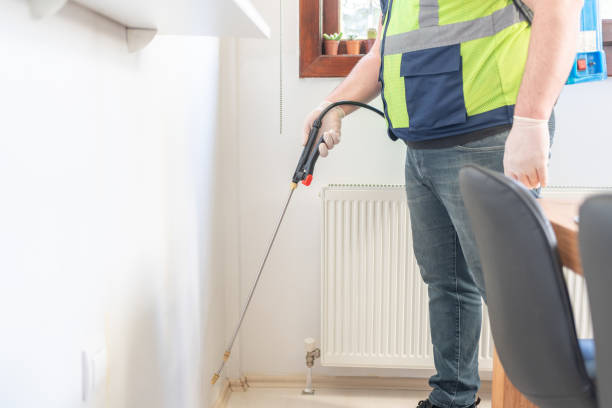 Best Pest Prevention Services  in Mount Ida, AR