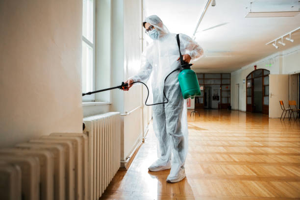 Reliable Mount Ida, AR Pest Control Solutions