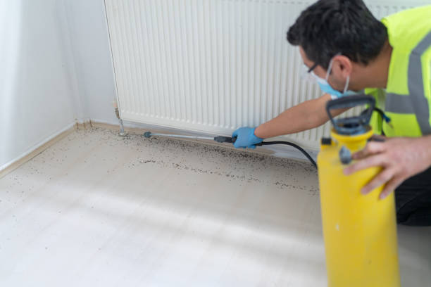 Best Pest Control Near Me in Mount Ida, AR